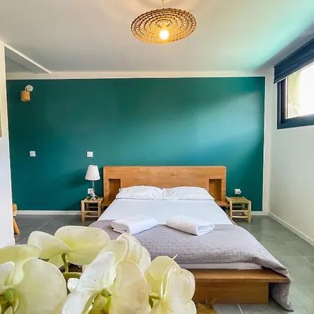 فيلة Sognu كونكا